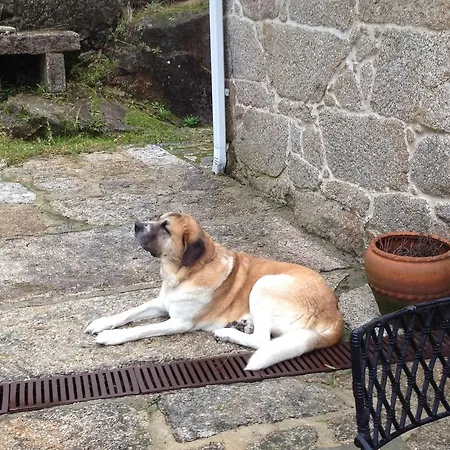 Hétvégi ház O Pozo